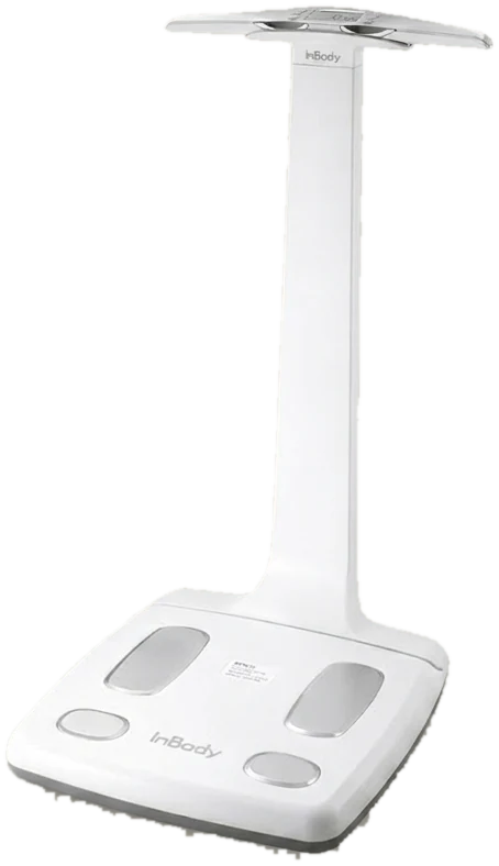 Analizador de composición corporal InBody 120: base con cuatro electrodos para los pies y columna con agarraderas para las manos.